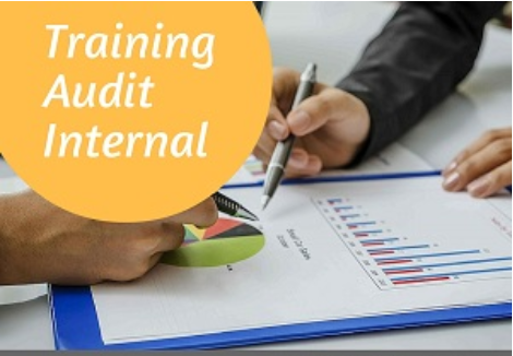 audit internal